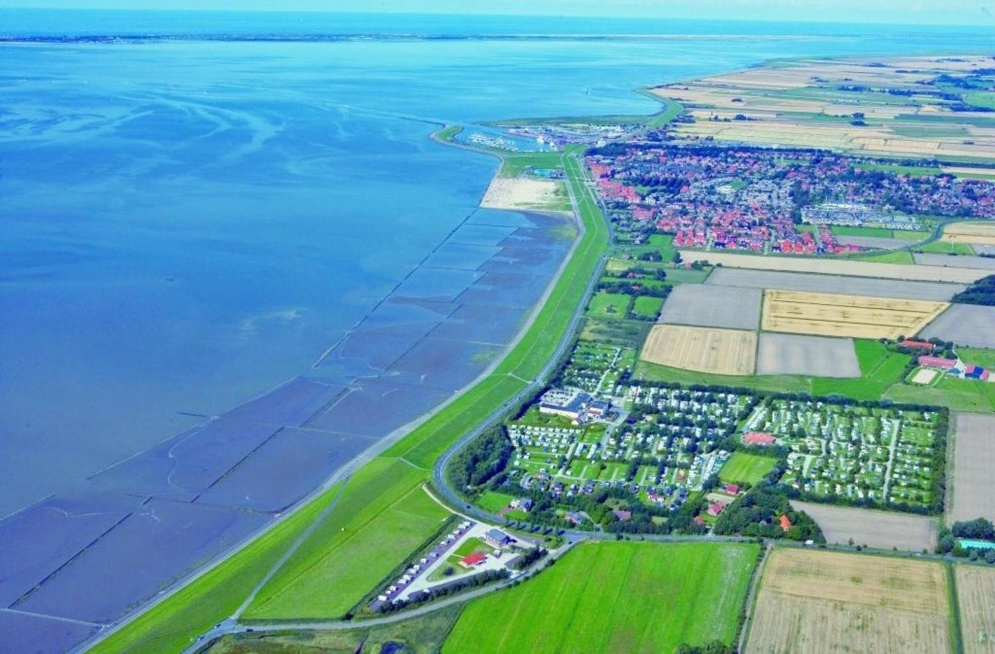 Grosse Nordseewelle Ohne Hund Norden Exterior foto
